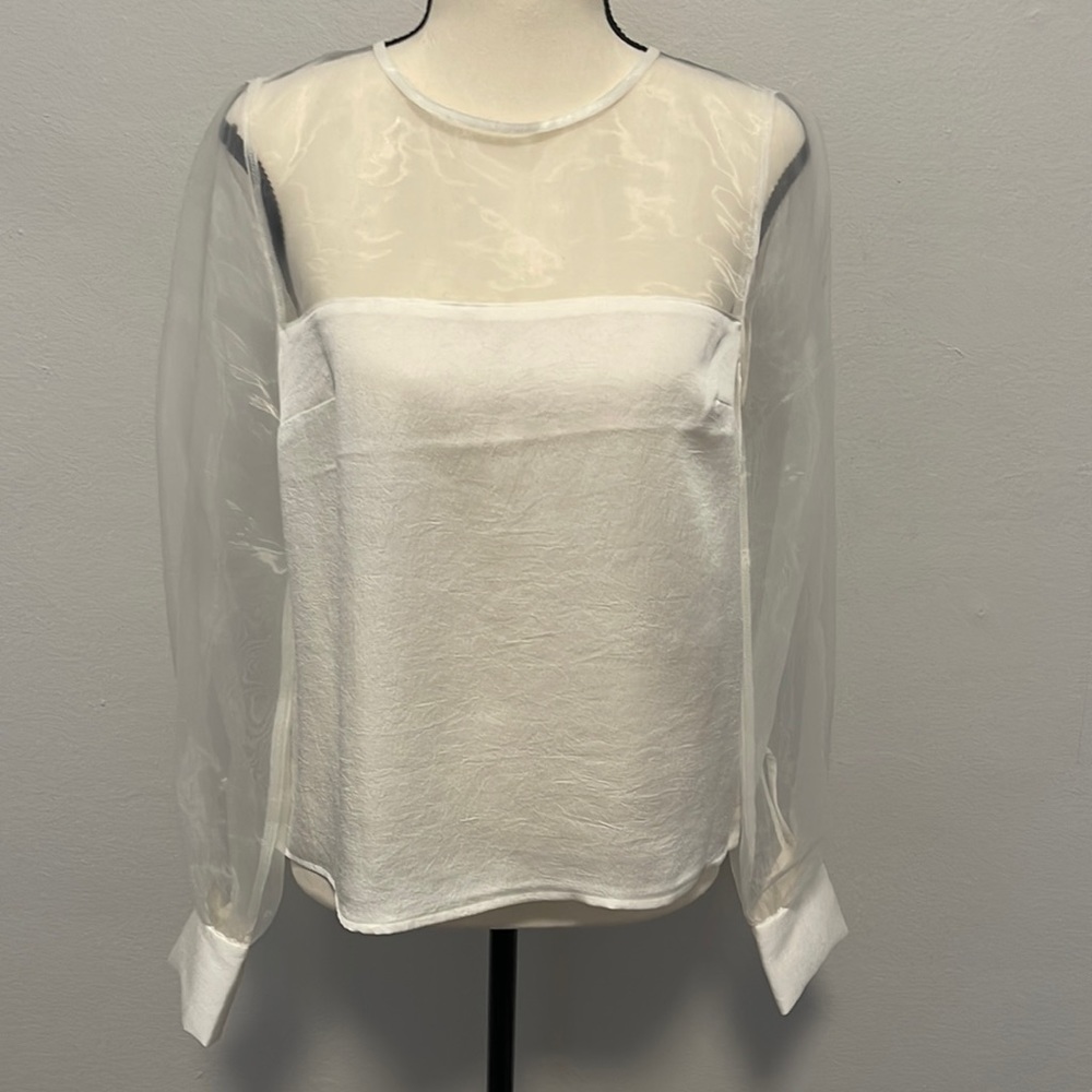 Express - Chic transparent long sleeves blouse
